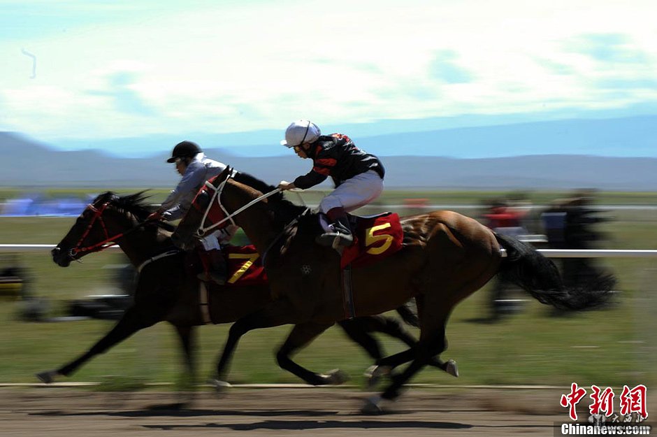 新疆昭苏喀尔坎特大草原上演“万马奔腾”