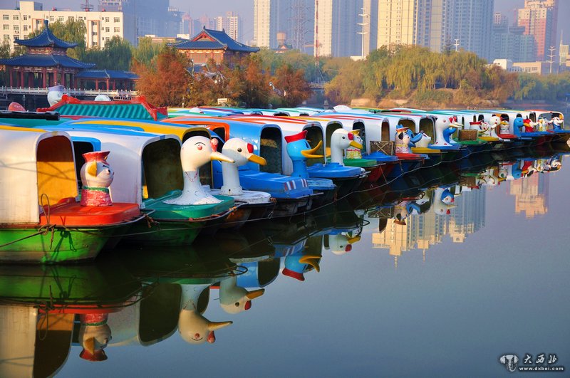 田园式公园--雁滩公园