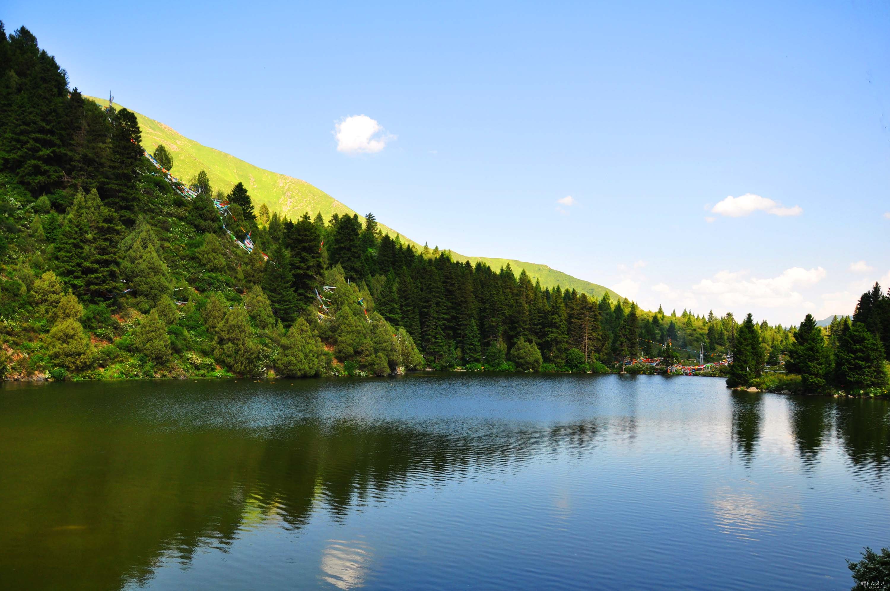 ＂碧玉曼遮湖＂——达尔宗湖