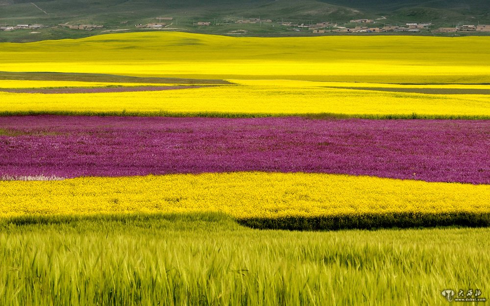 高原上的香巴拉甘南