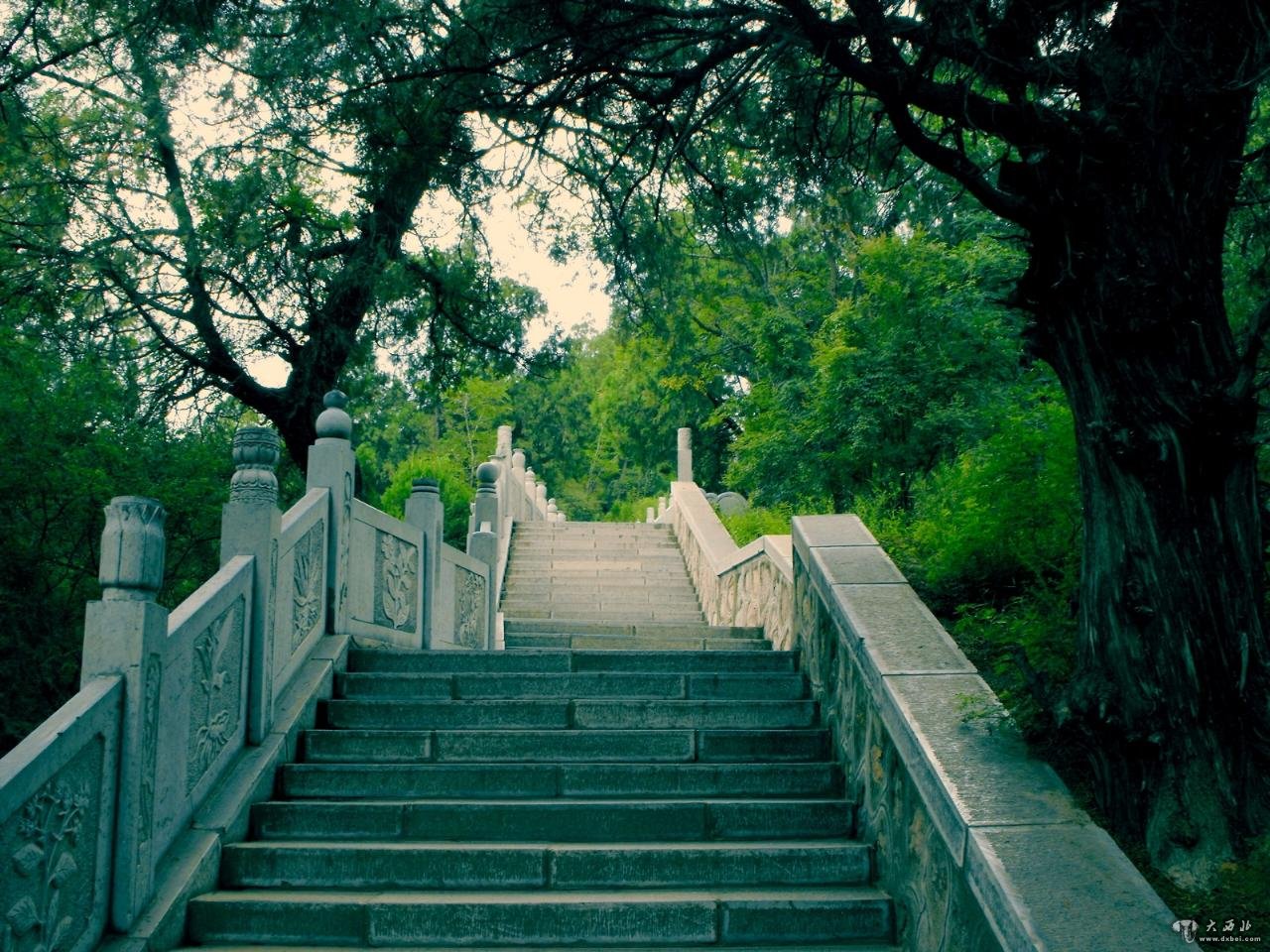 铜川照金香山景区