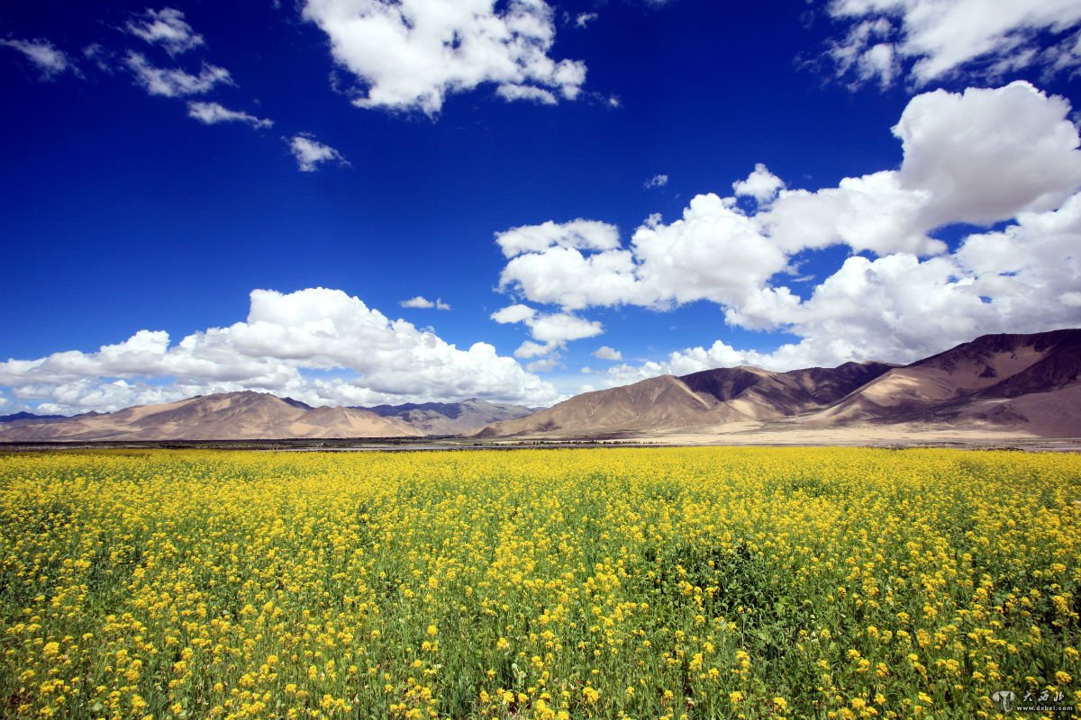 西藏第二大城市——日喀则