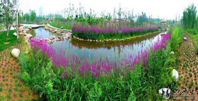 兰州北滨河路西段之美