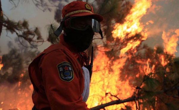 四川冕宁村民上坟烧纸引森林火灾 过火面积约65公顷三天仍未全灭