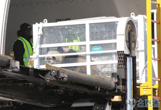 1月15日,大熊猫“欢欢”抵达法国巴黎戴高乐机场。新华社记者 高静 摄 1月15日,大熊猫“欢欢”抵达法国巴黎戴高乐机场。新华社记者 高静 摄