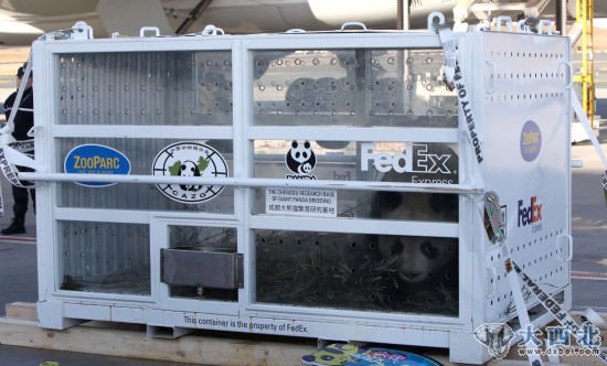 1月15日,大熊猫“欢欢”抵达法国巴黎戴高乐机场。新华社记者 高静 摄 1月15日,大熊猫“欢欢”抵达法国巴黎戴高乐机场。新华社记者 高静 摄