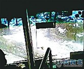 挡风玻璃 挡风玻璃