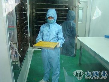 归真堂熊胆粉产地现场直击:活熊如此取胆(组图)