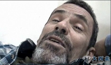 英国记者康罗伊已经安全进入黎巴嫩 英国记者康罗伊已经安全进入黎巴嫩