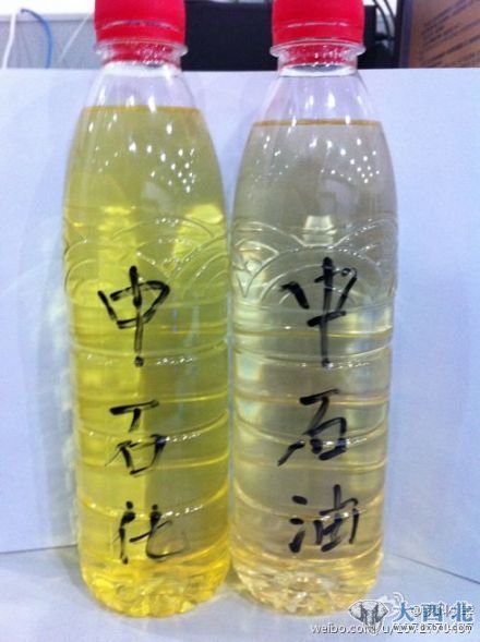 上图为网友取样的两大石油巨头的93号汽油颜色对比。资料图