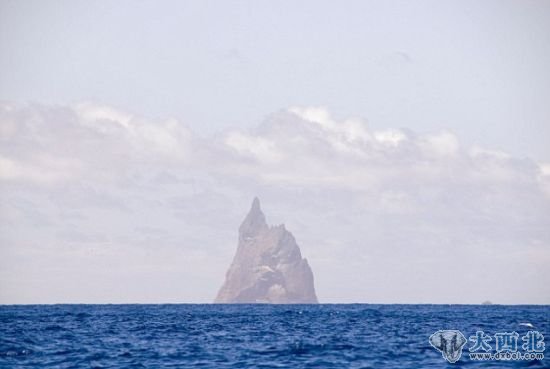 澳大利亚豪勋爵岛柏尔金字塔:科学家发现,这些竹节虫依附在这根世界最高海柱的一侧。 澳大利亚豪勋爵岛柏尔金字塔:科学家发现,这些竹节虫依附在这根世界最高海柱的一侧。