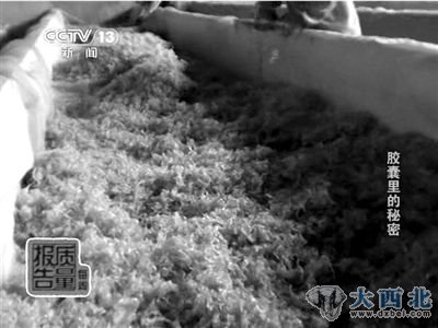 生产出来的工业明胶。 生产出来的工业明胶。