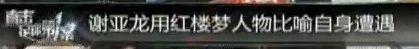 谢亚龙用红楼梦人物形容自身遭遇 谢亚龙用红楼梦人物形容自身遭遇