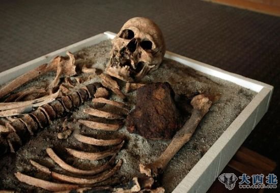 杀手的微笑 杀手的微笑