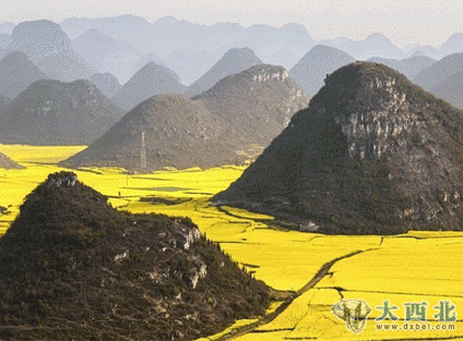 德摄影师捕捉中国油菜田壮观景象似金色海洋