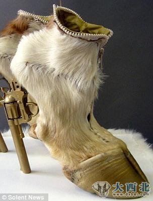 爱丽丝是用当地屠宰场取走肉弃之不用的动物尸体制作这些高跟鞋的。她需要花费约一周的时间把尸体上残存的肉和骨头剔除,然后将皮毛交给制革工人进行处理。