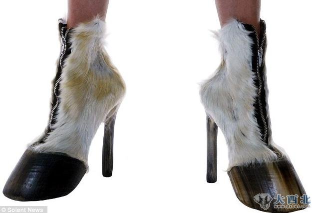 德国柏林的45岁女设计师爱丽丝·席费施泰因热衷制作古怪高跟鞋,这些用死去动物的肢体设计和制作出的高跟鞋价格高达3900英镑(约合3.9万元人民币)。