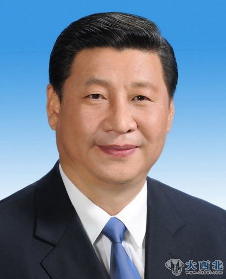 习近平 习近平