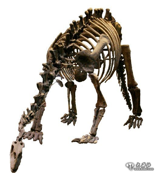 四川恐龙展品“六一”首次亮相新疆昌吉恐龙化石展 四川恐龙展品“六一”首次亮相新疆昌吉恐龙化石展