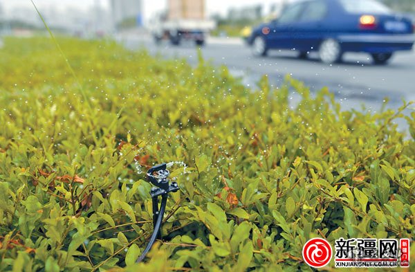 乌鲁木齐部分绿化单位用水高峰期与居民“争水喝” 乌鲁木齐部分绿化单位用水高峰期与居民“争水喝”