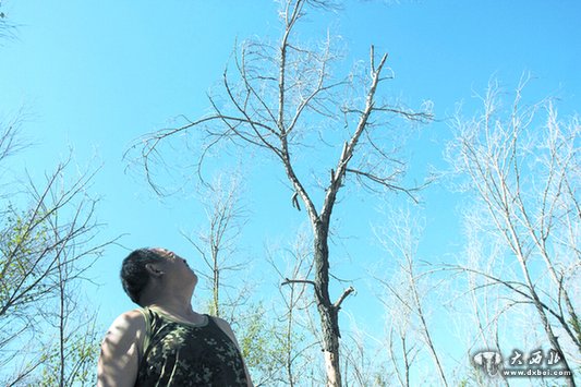 和平渠断流 上山路不通 乌鲁木齐400亩平顶山成“孤岛” 和平渠断流 上山路不通 乌鲁木齐400亩平顶山成“孤岛”