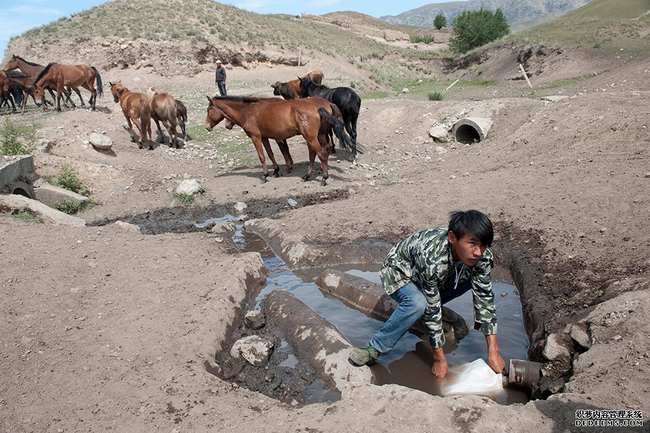 新疆特克斯县阿克塔斯牧业村村民居曼在一处泉水旁接饮用水,旁边的马匹同样在此饮水(8月3日摄)。