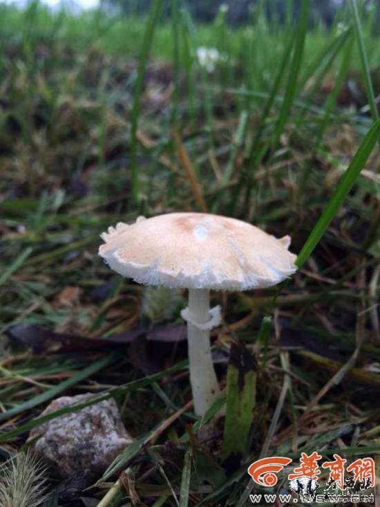 5555555511.jpg 5555555511.jpg