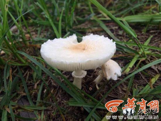 5555555510.jpg 5555555510.jpg