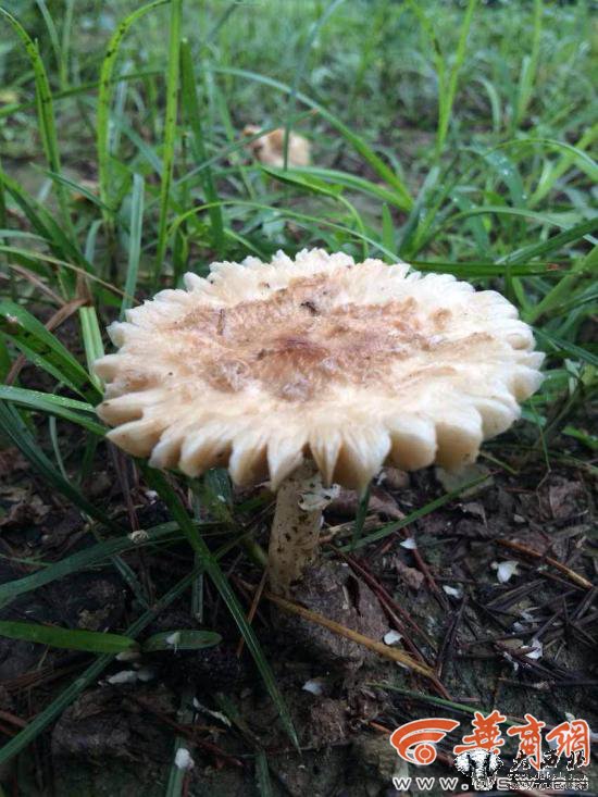 5555555509.jpg 5555555509.jpg