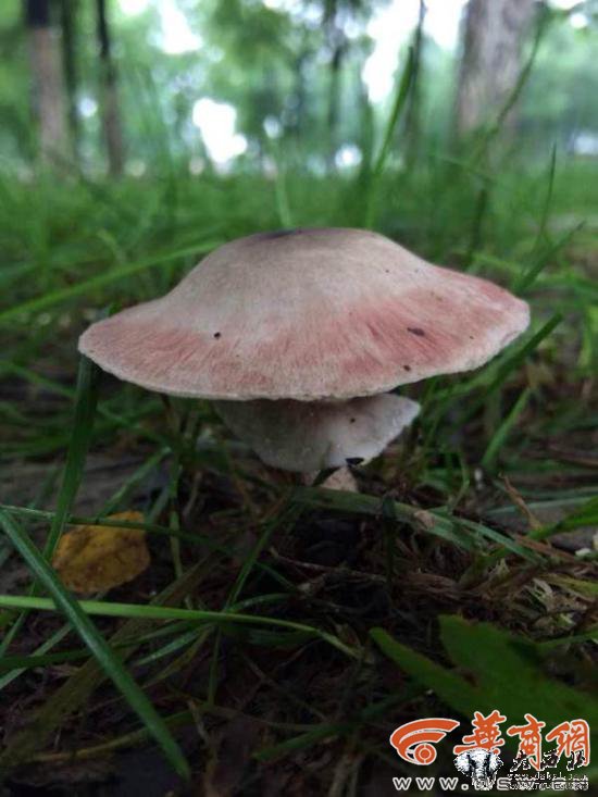 5555555506.jpg 5555555506.jpg