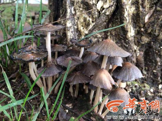 5555555504.jpg 5555555504.jpg