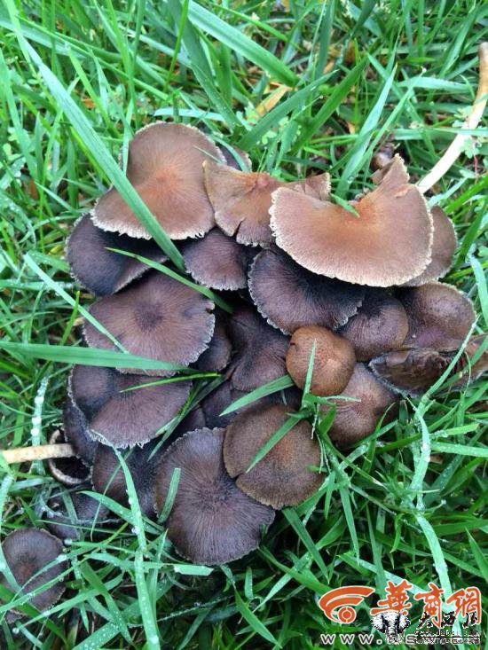 5555555503.jpg 5555555503.jpg