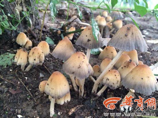 5555555505.jpg 5555555505.jpg