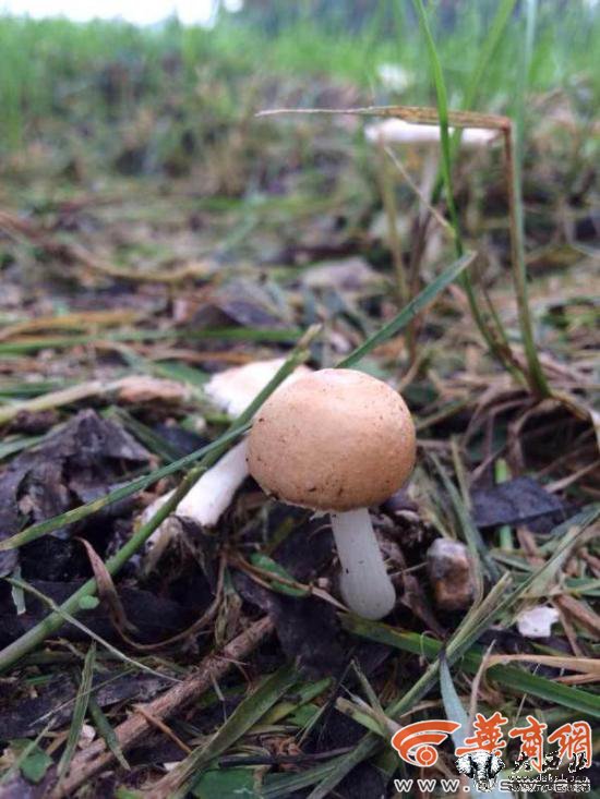 5555555512.jpg 5555555512.jpg