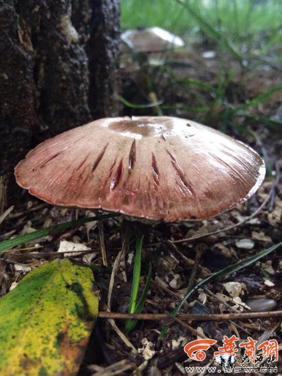 5555555507.jpg 5555555507.jpg