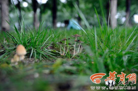 5555555502.jpg 5555555502.jpg