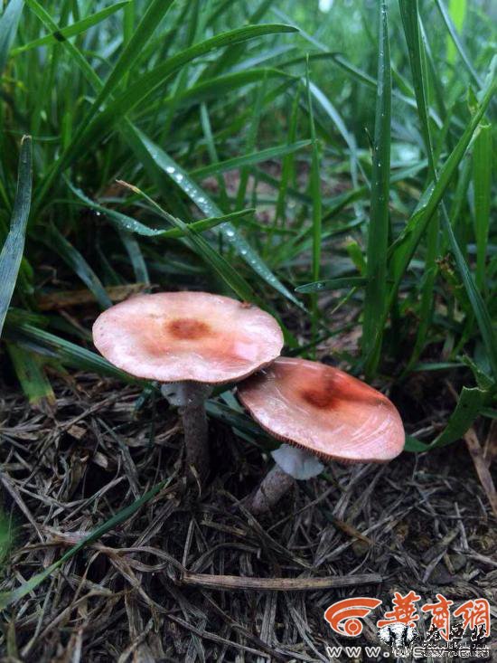 5555555508.jpg 5555555508.jpg