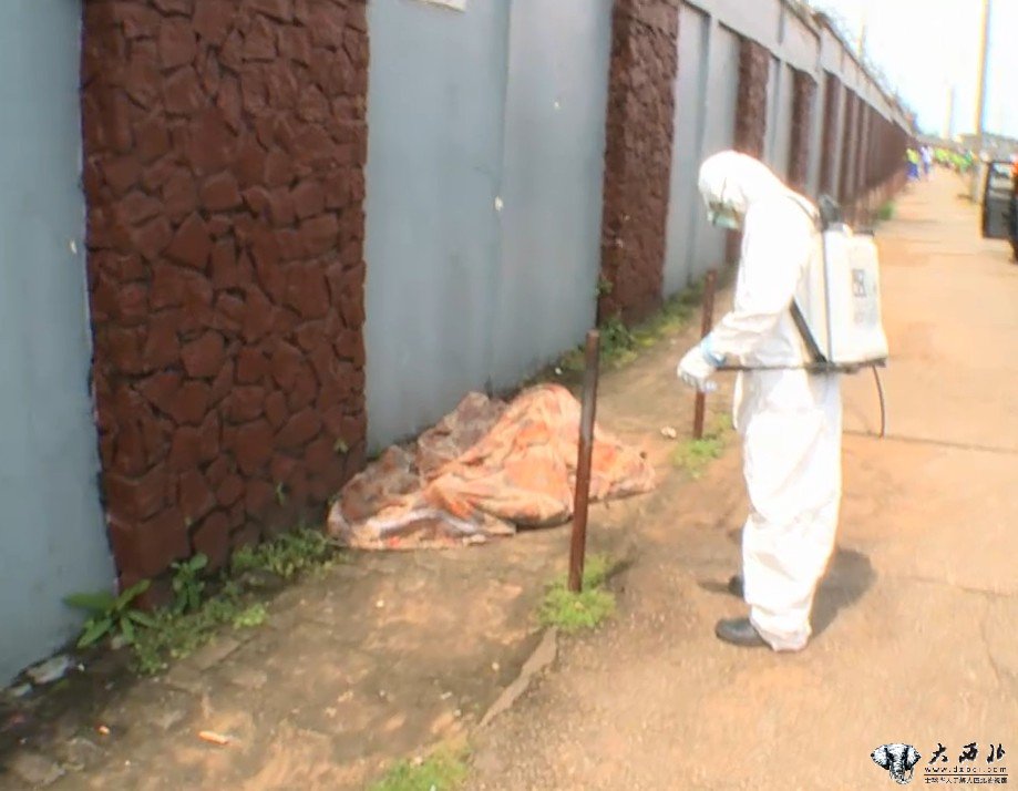 利比里亚埃博拉患者“陈尸街头”数日后复活