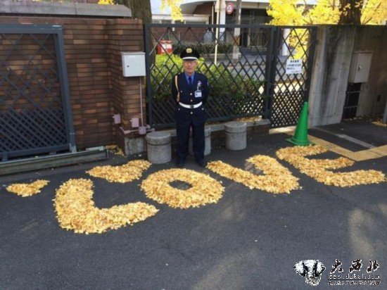 日本某大学“任性”保安大爷走红！扫落叶作画