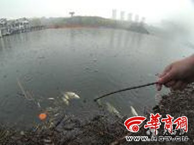 点击图片进入下一页 \