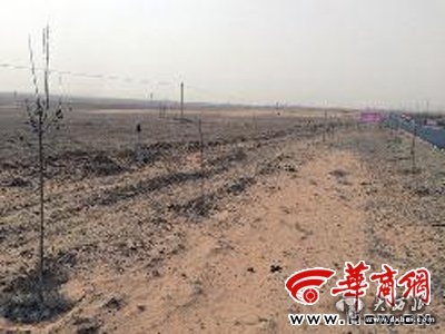 点击图片进入下一页 \