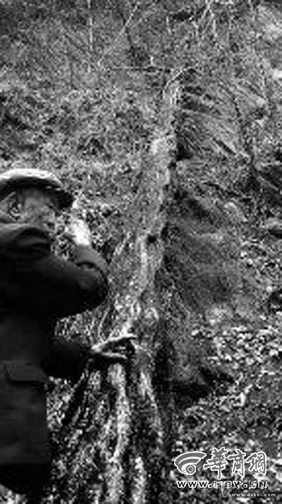 点击图片进入下一页 \