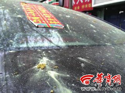 点击图片进入下一页 \