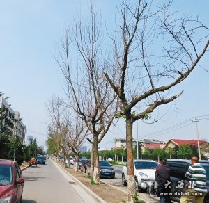 点击图片进入下一页 \