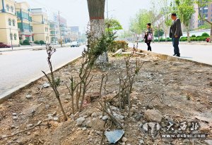 点击图片进入下一页 \