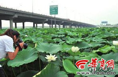 点击图片进入下一页 \