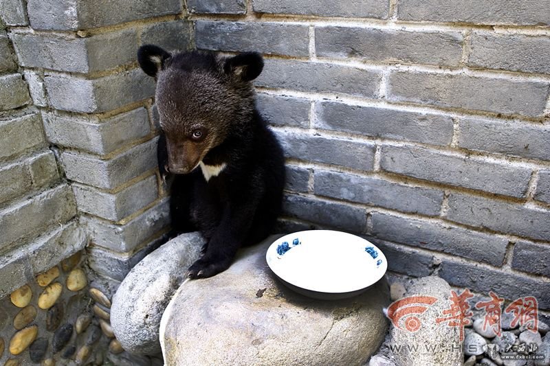 124ec7kq.jpg 923657.jpg