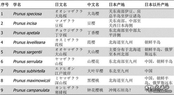 樱花起源于哪里?中国日本韩国打起来了