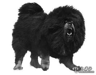 点击图片进入下一页 \