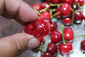 14327989858712331.jpg 88.jpg